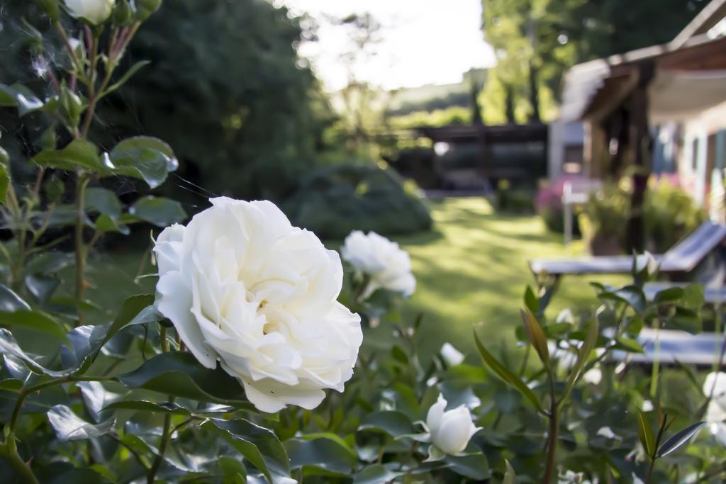 B&B I Fiori Della Cava Pesaro Exterior photo